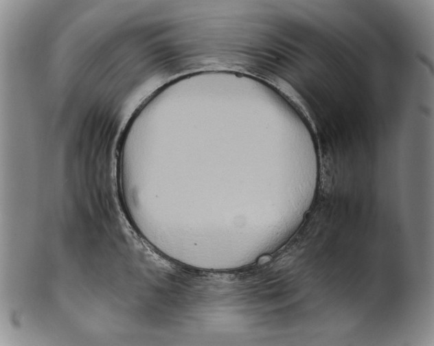 X0000100761096200807101721