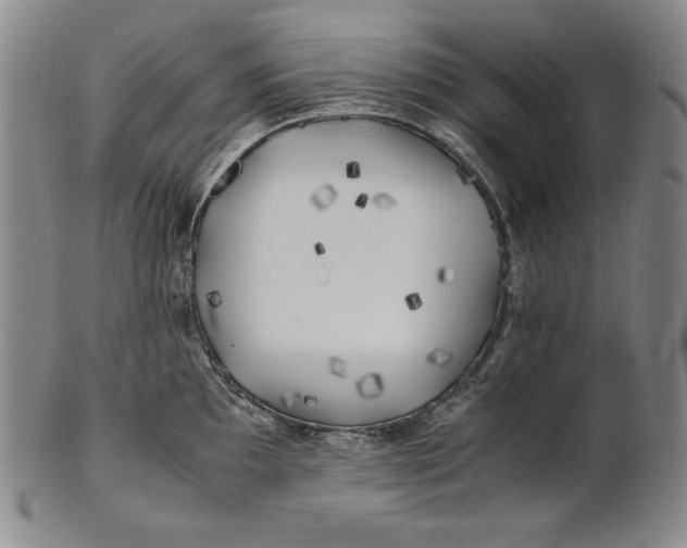 X0000100761097200807101721