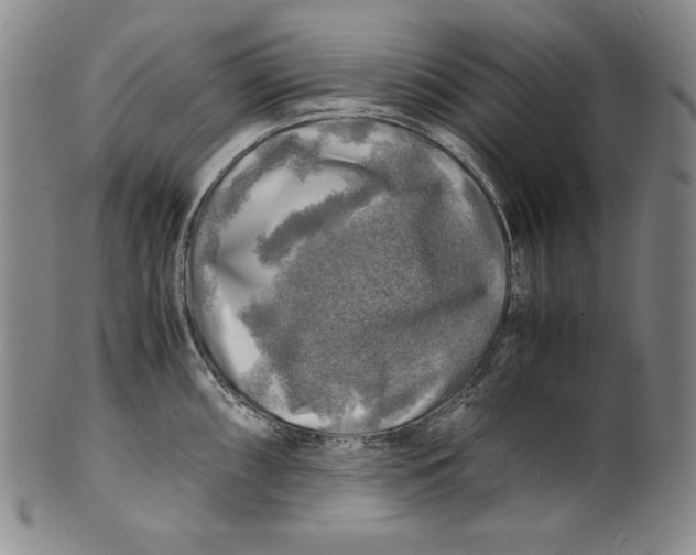 X0000100761098200807101721