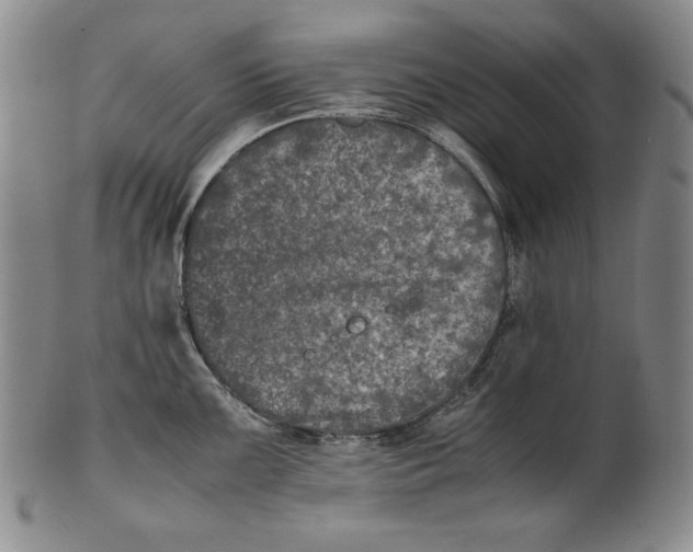 X0000100761099200807101721