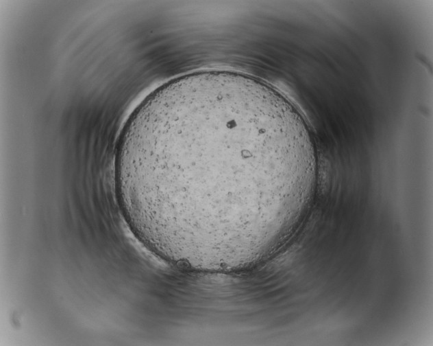 X0000100761100200807101721