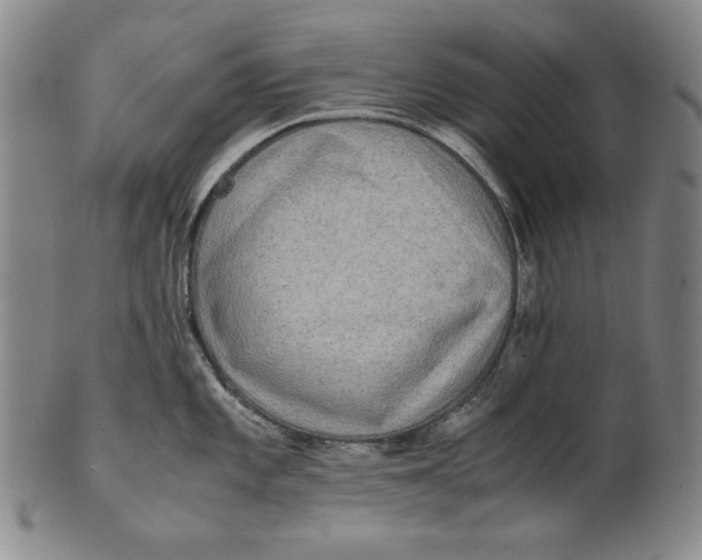 X0000100761101200807101721