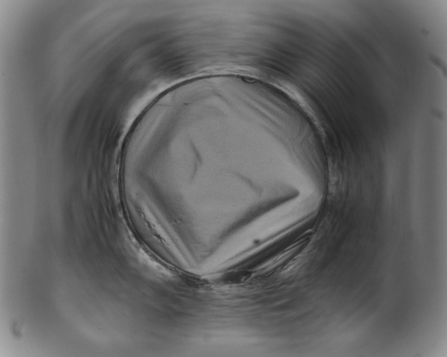 X0000100761102200807101721