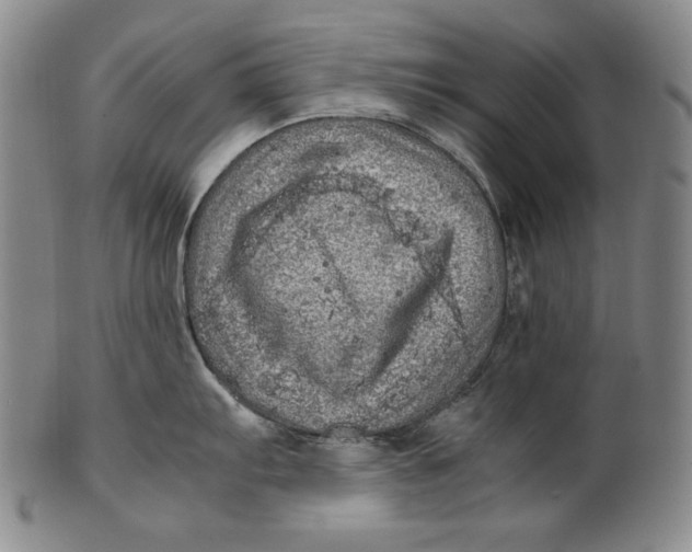 X0000100761103200807101721