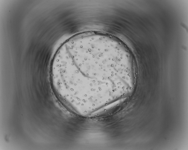 X0000100761104200807101721