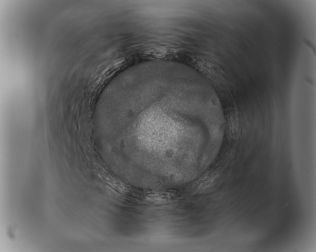 X0000100761105200807101720