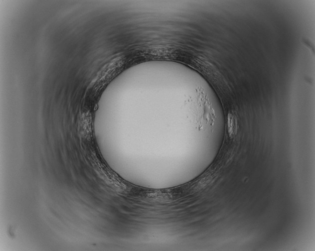 X0000100761107200807101720