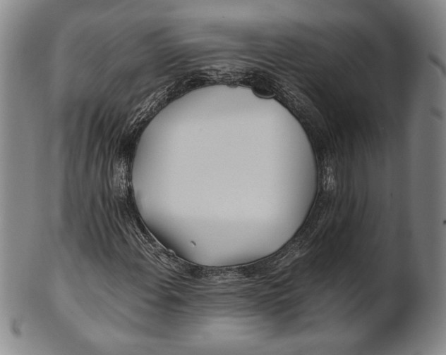 X0000100761108200807101720