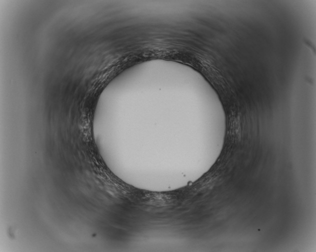 X0000100761109200807101720