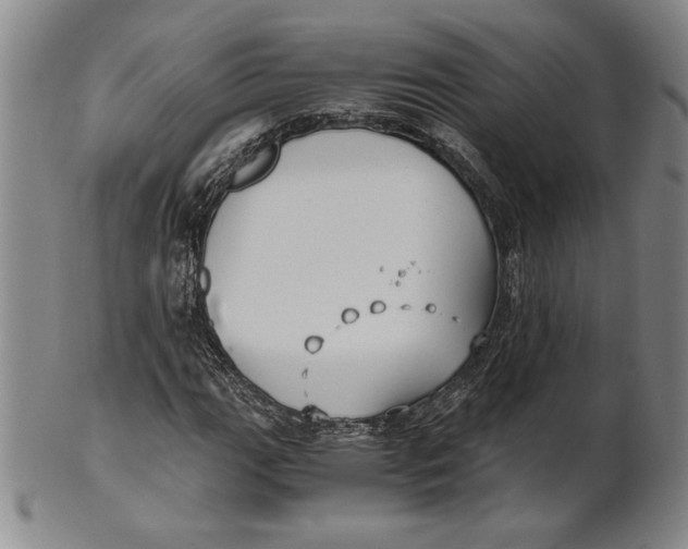 X0000100761111200807101720