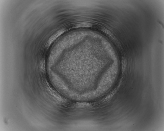 X0000100761113200807101721