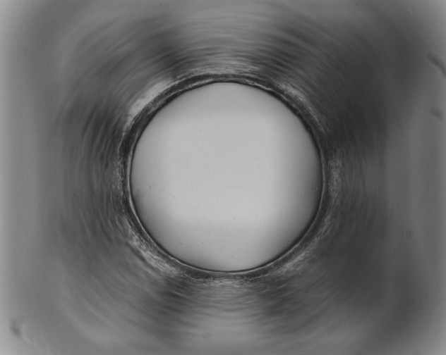 X0000100761114200807101721