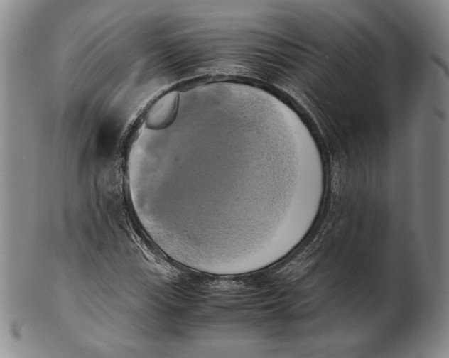 X0000100761115200807101721