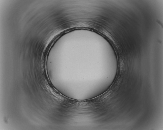 X0000100761116200807101721