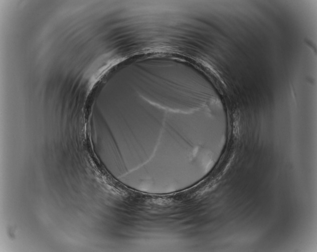 X0000100761117200807101721