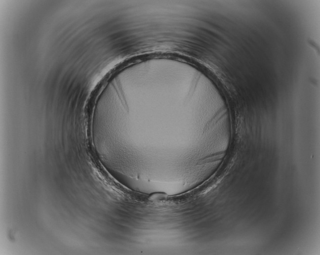 X0000100761118200807101721