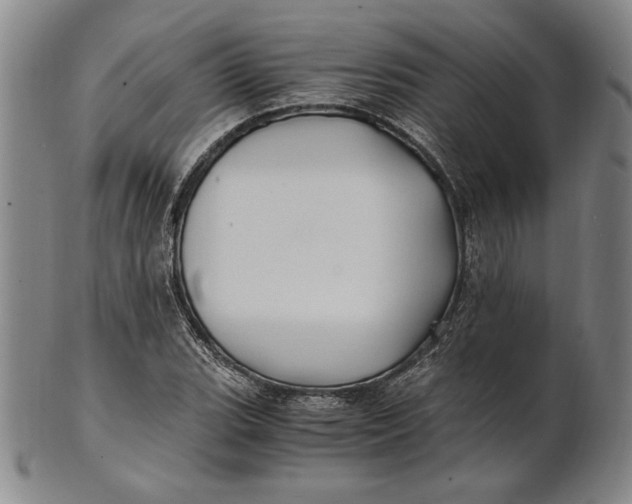 X0000100761119200807101721