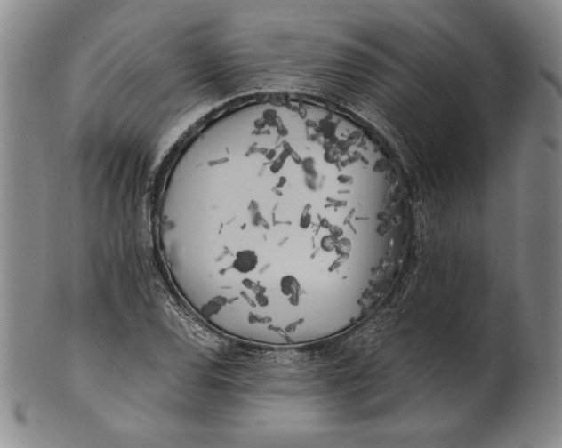 X0000100761120200807101721