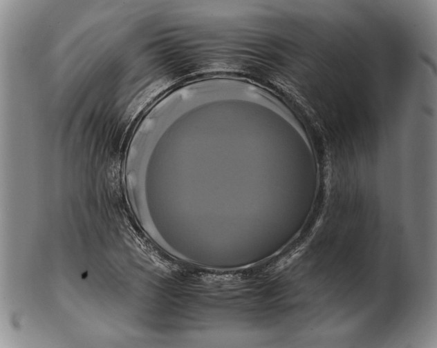 X0000100761121200807101721