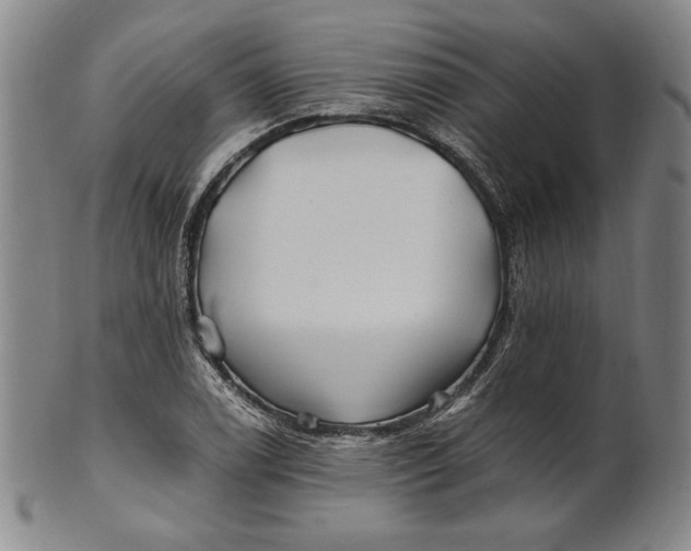 X0000100761122200807101721