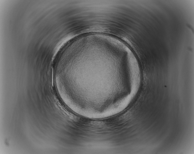 X0000100761123200807101721