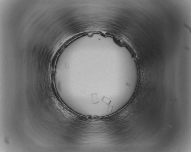 X0000100761124200807101721