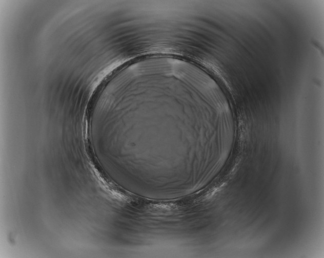 X0000100761125200807101721