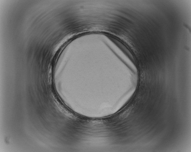 X0000100761126200807101721