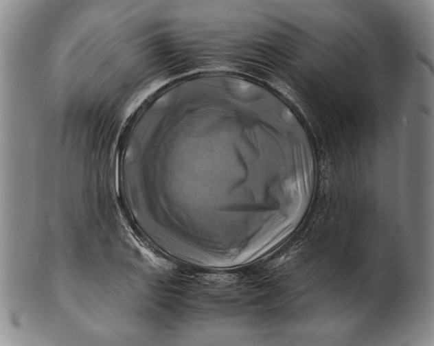 X0000100761127200807101721