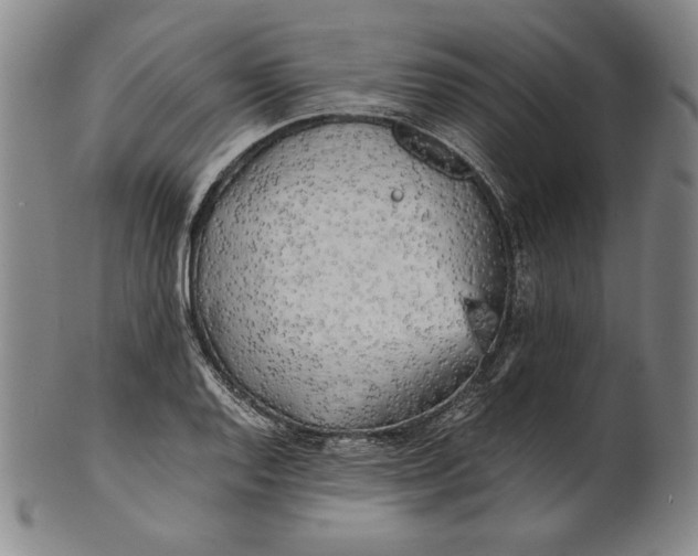 X0000100761128200807101721