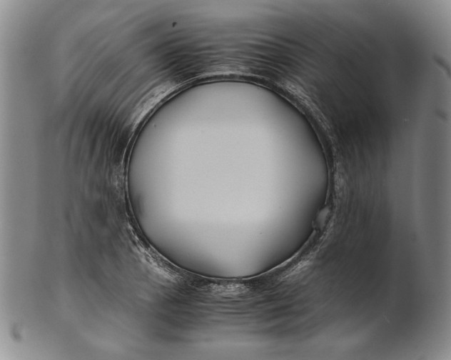 X0000100761129200807101721