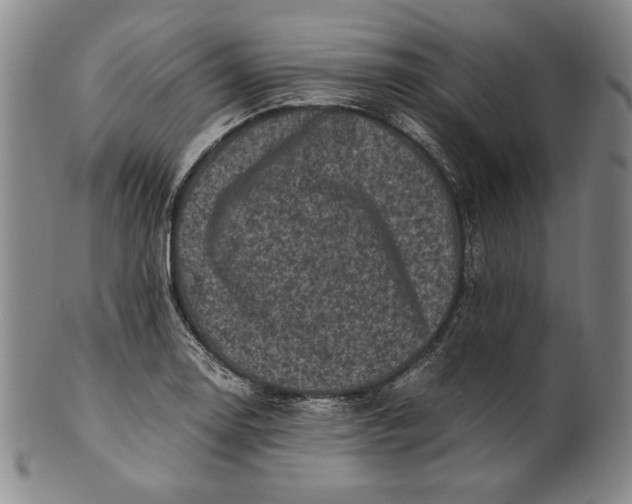 X0000100761130200807101721