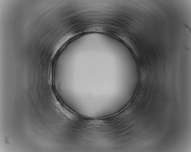 X0000100761131200807101721