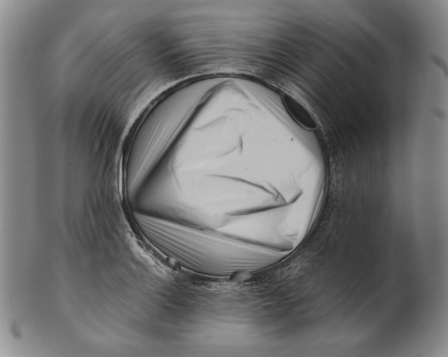 X0000100761132200807101721