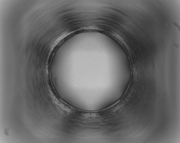 X0000100761133200807101721