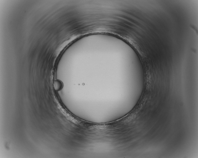 X0000100761134200807101721