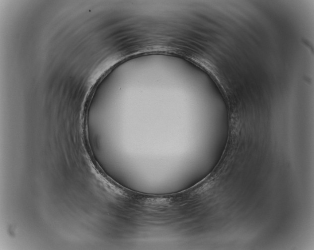 X0000100761135200807101721