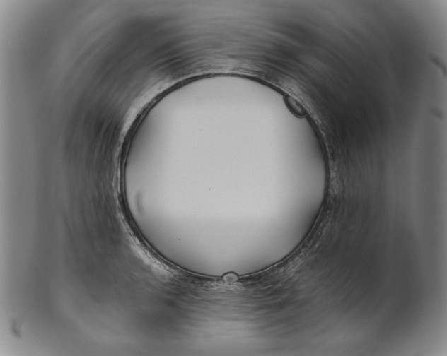 X0000100761136200807101721