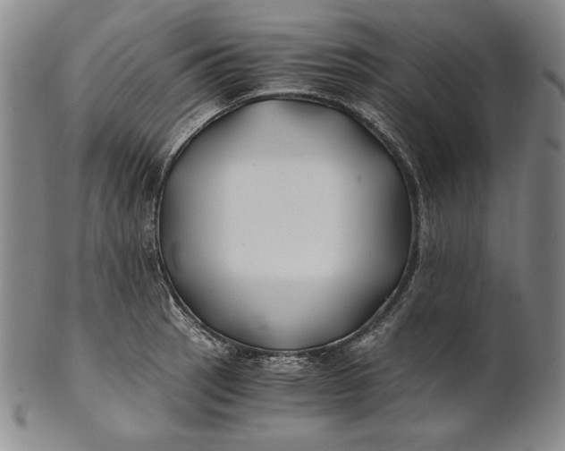 X0000100761137200807101721