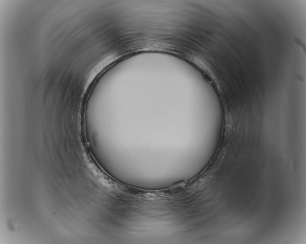 X0000100761138200807101721