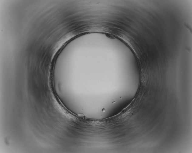 X0000100761139200807101721