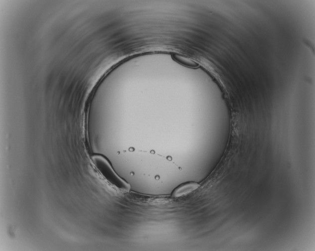 X0000100761140200807101721