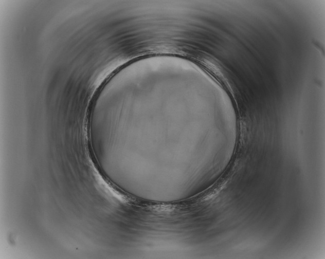 X0000100761141200807101721