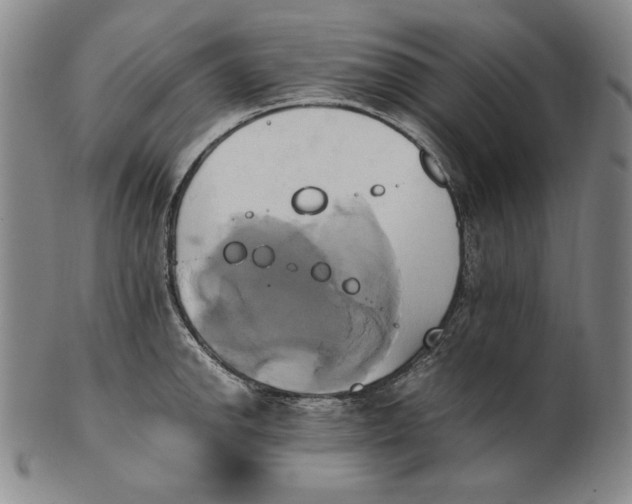 X0000100761142200807101721