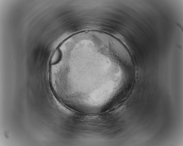 X0000100761143200807101721