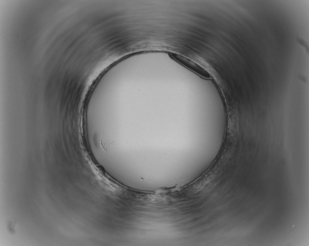 X0000100761144200807101721