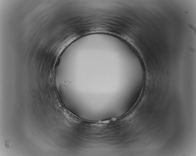 X0000100761145200807101721