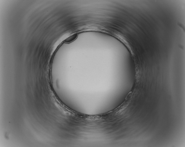 X0000100761146200807101721