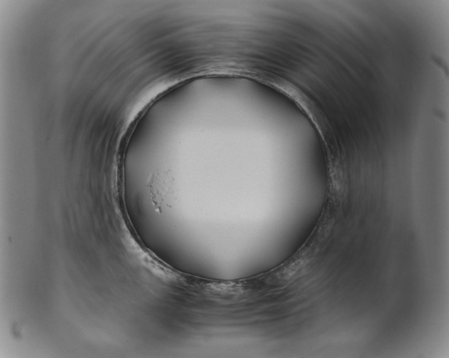 X0000100761147200807101721