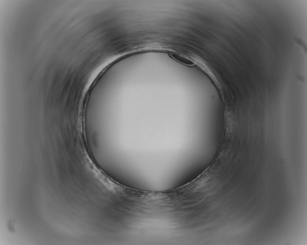 X0000100761148200807101721